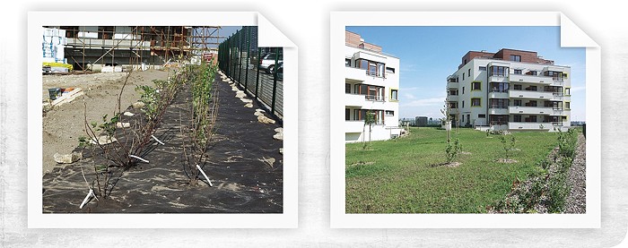 Mulčování ekotextilií v zahradních prvcích obytného komplexu v pražském Zličíně