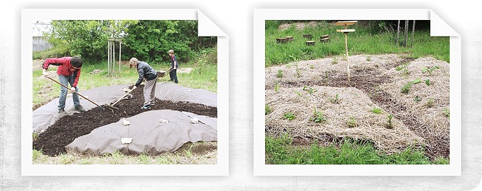 Přírodní školní zahrada Základní školi v Třešti