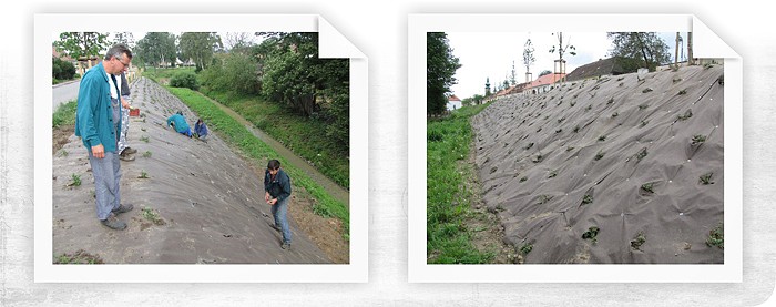 Protierozní ochrana svahu koryta potoka v obci Deštná