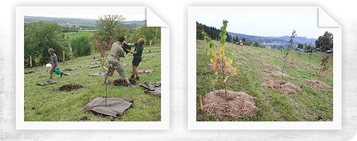 Založení smíšeného lesa na rodovém statku v Kozlenci