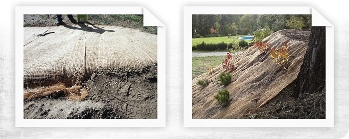 Protierozní ochrana a mulčování zahradního svahu v Praze